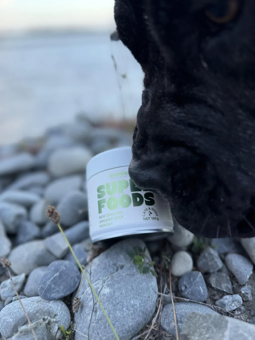 New Zealand Organic Kelp Powder Refill