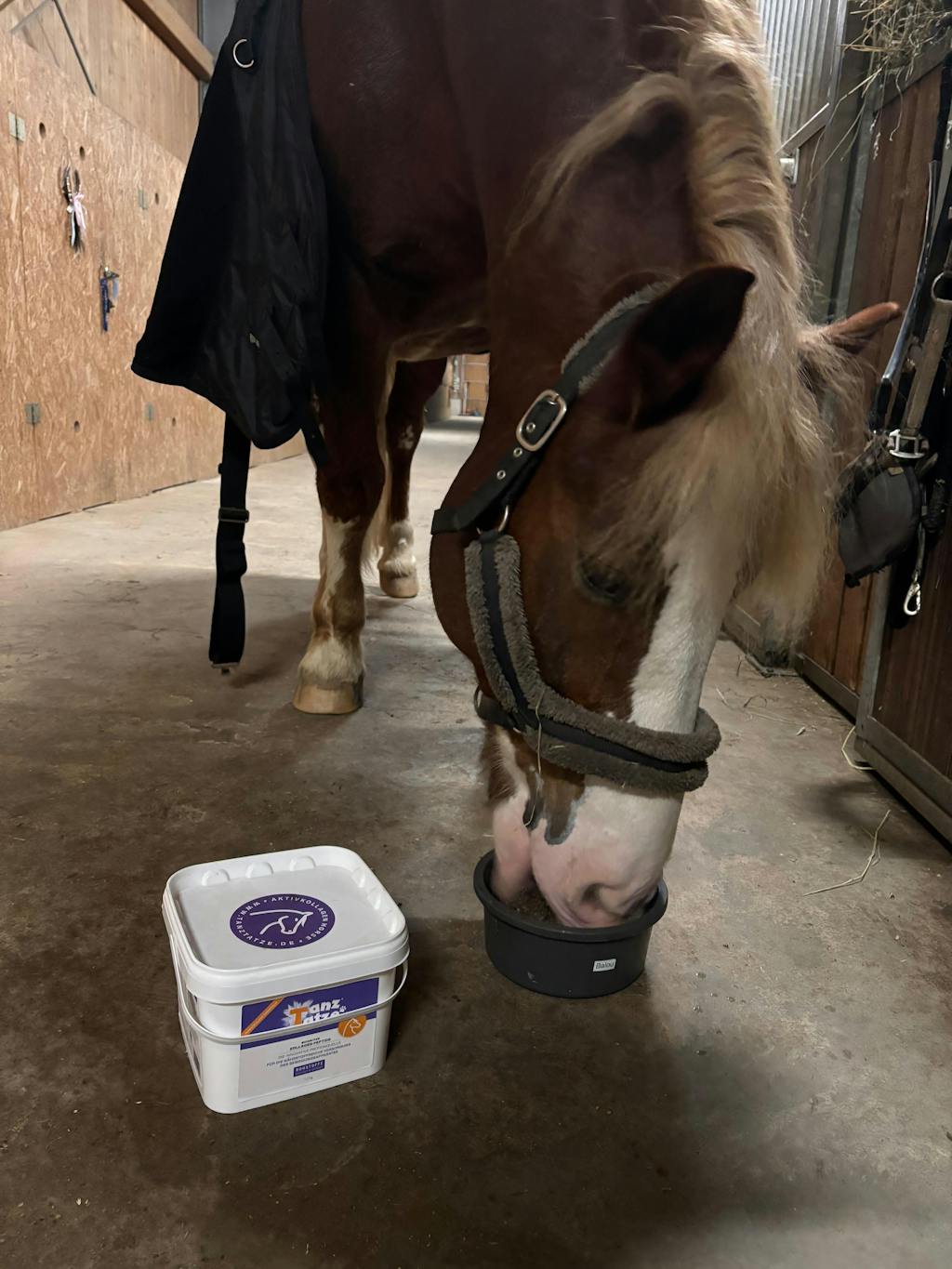 TanzTatze Aktivkollagen HORSE -  Gelenkpulver zum Knorpelaufbau für Pferde