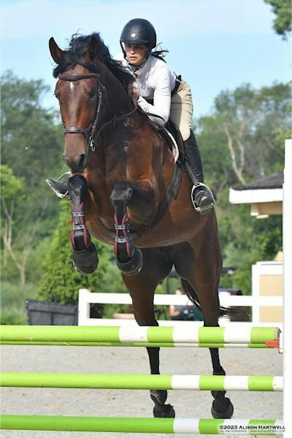 Tapestry English Comfort Girth Horse Tack Tapestry Equine Products Inc.