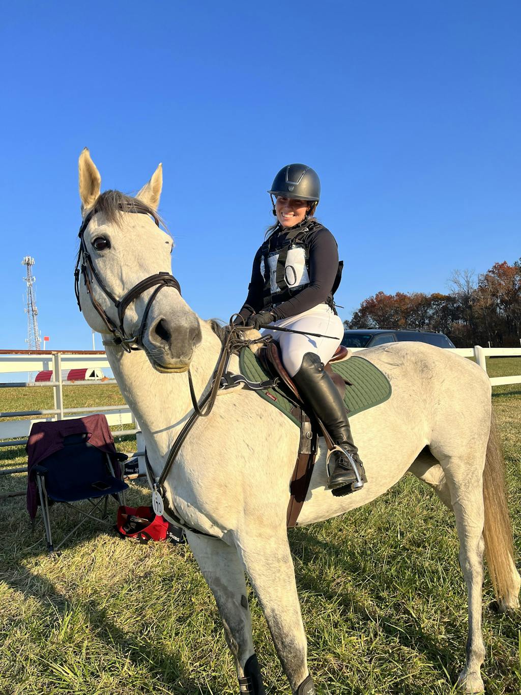 Tapestry English Comfort Girth Horse Tack Tapestry Equine Products Inc.