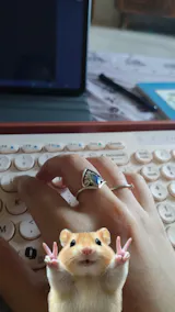 925 Sterling Silver Labradorite Boho Ring