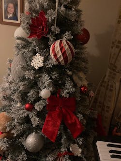 Red Velvet Bow - 20 x 30cm