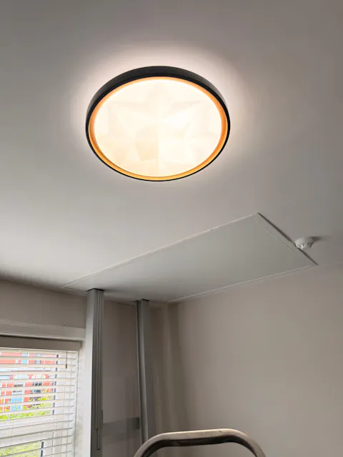 Novara Flush Ceiling Light - Black & Gold