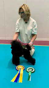 Svenskt Hundgodis - Promenad & Träning - Oxlunga