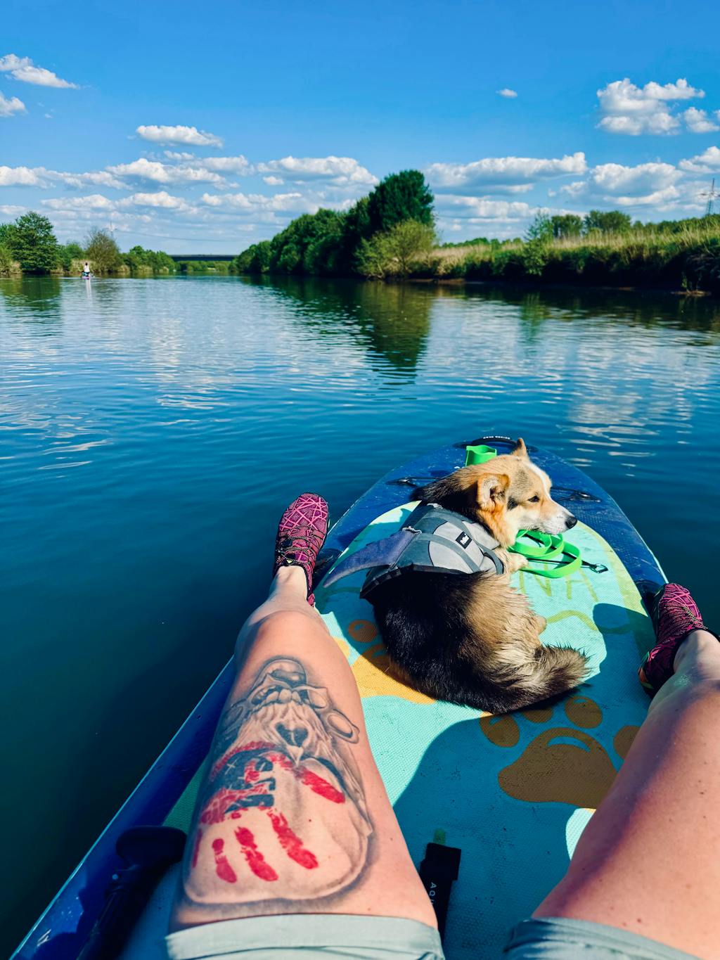 daily oil spray 150ml