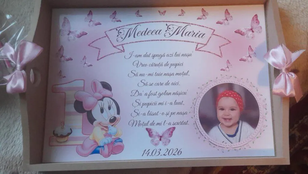 Tavita Mot Model Minnie Mouse  • Set pentru taierea motului personalizat