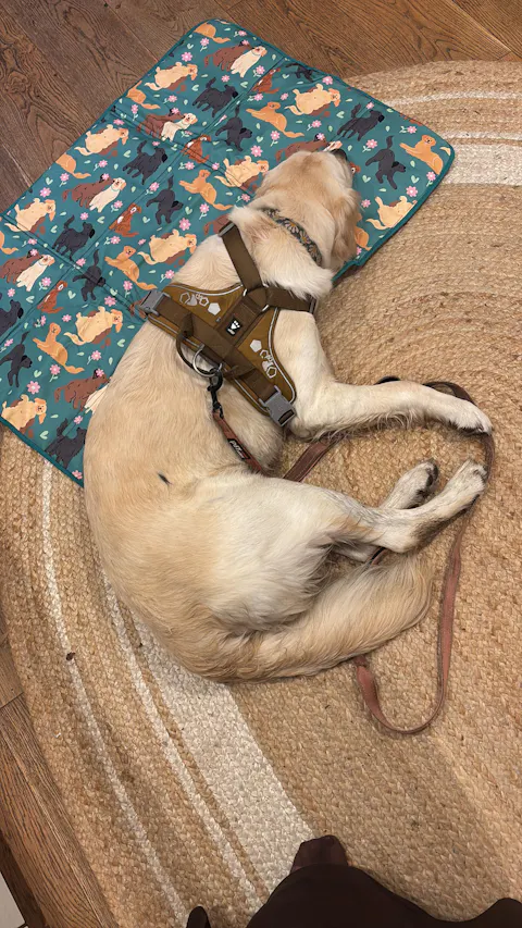 Retriever Retreat Settle Mat