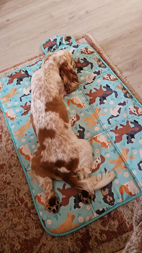 Spaniel Social Settle Mat