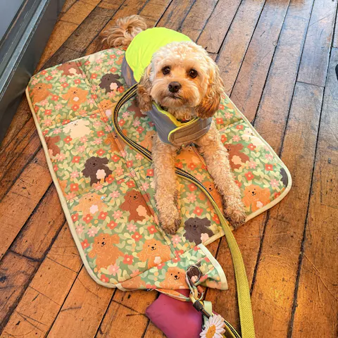 Floof Flock Settle Mat