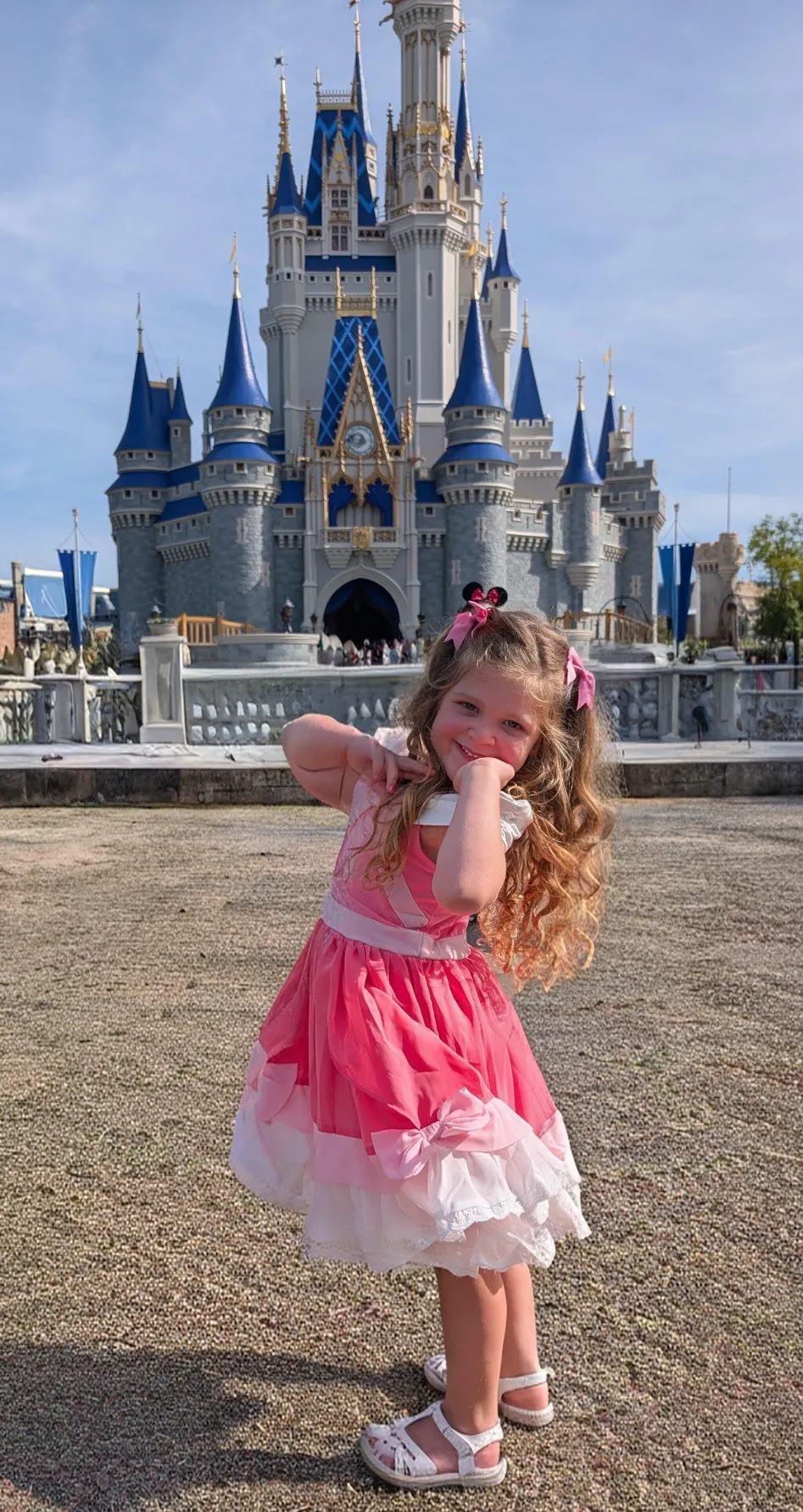 PREORDER - Disney Cinderella Pink Gown PREORDER - Disney Cinderella Pink Gown