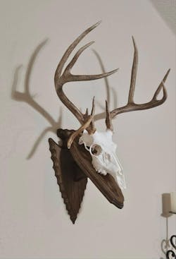 Arrowhead Wall Pedestal