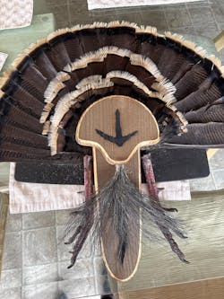 Barnwood Turkey Fan Plaque with Turkey Track