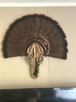 Barnwood Turkey Fan Plaque