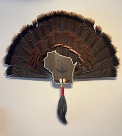 Wisconsin Turkey Fan Plaque