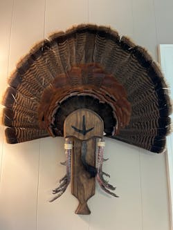 Turkey Fan Plaque (Box Call) (Darker Stain)