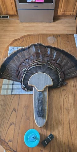 Barnwood Turkey Fan Plaque