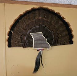 Missouri Turkey Fan Plaque