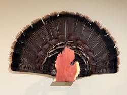Michigan Turkey Fan Plaque (Lower Peninsula)