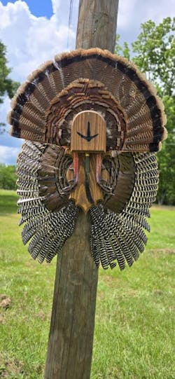 Fan and Wing Mount Plaque