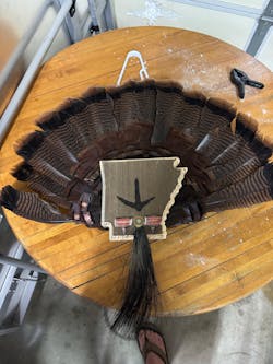 Arkansas Turkey Fan Plaque