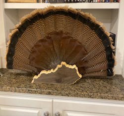 Kentucky Turkey Fan Plaque