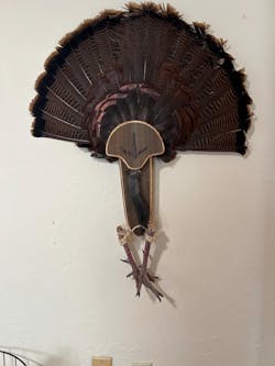 Barnwood Turkey Fan Plaque with Turkey Track
