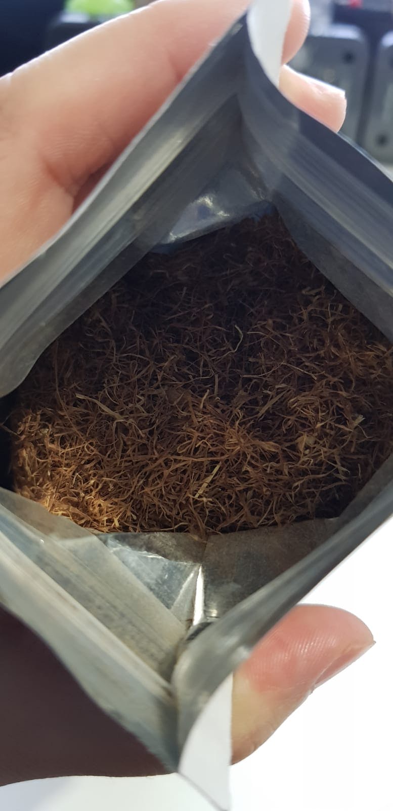 Buy Corn Silk Tea Online Tea Life Australia Tea Life