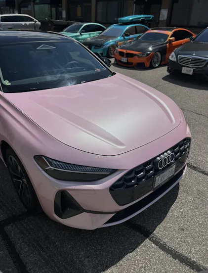 Cherry Blossom Pink (ECH22) envoltório de vinil – Teckwrap