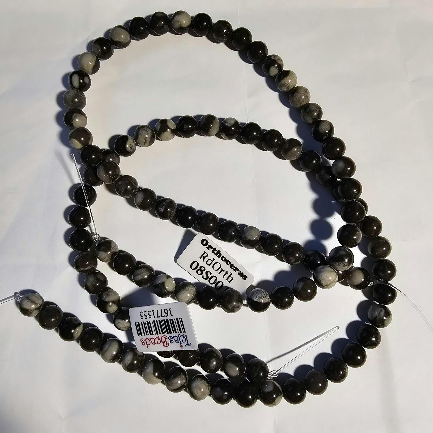 Orthoceras Fossil · Smooth · Round · 8mm, 9.8mm– Tejas Beads