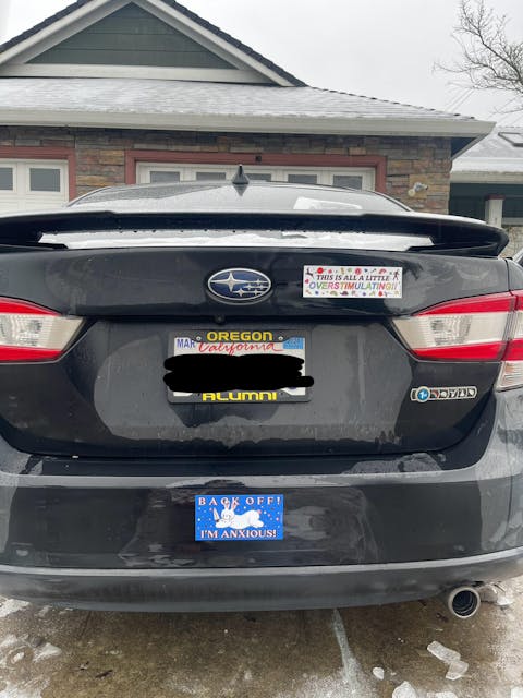 Overstimulating Bumper Sticker