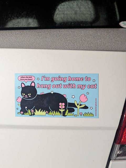 Hang Out With My Cat Bumper Magnet
