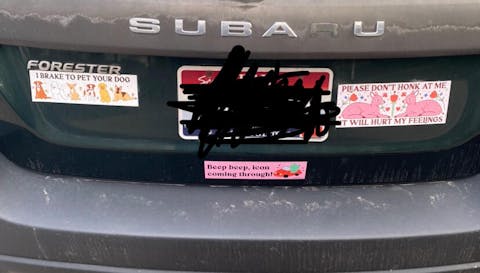 Icon Frog Bumper Magnet