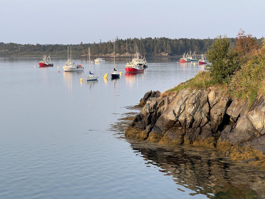 Model Y Frunk Cooler Food Bag Tesloid USA