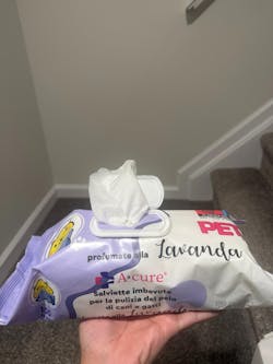 Daily Pet Wipes – Large 100 Count