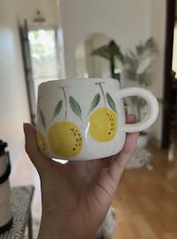 Ceramic Fruit Painted Mugs