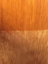 FURNITURE POLISH KIT - FREE MALMAL CLOTH!