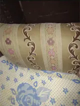 Ecosoft Fabric Cleaner | Tough on Stains, Safe on Fabric