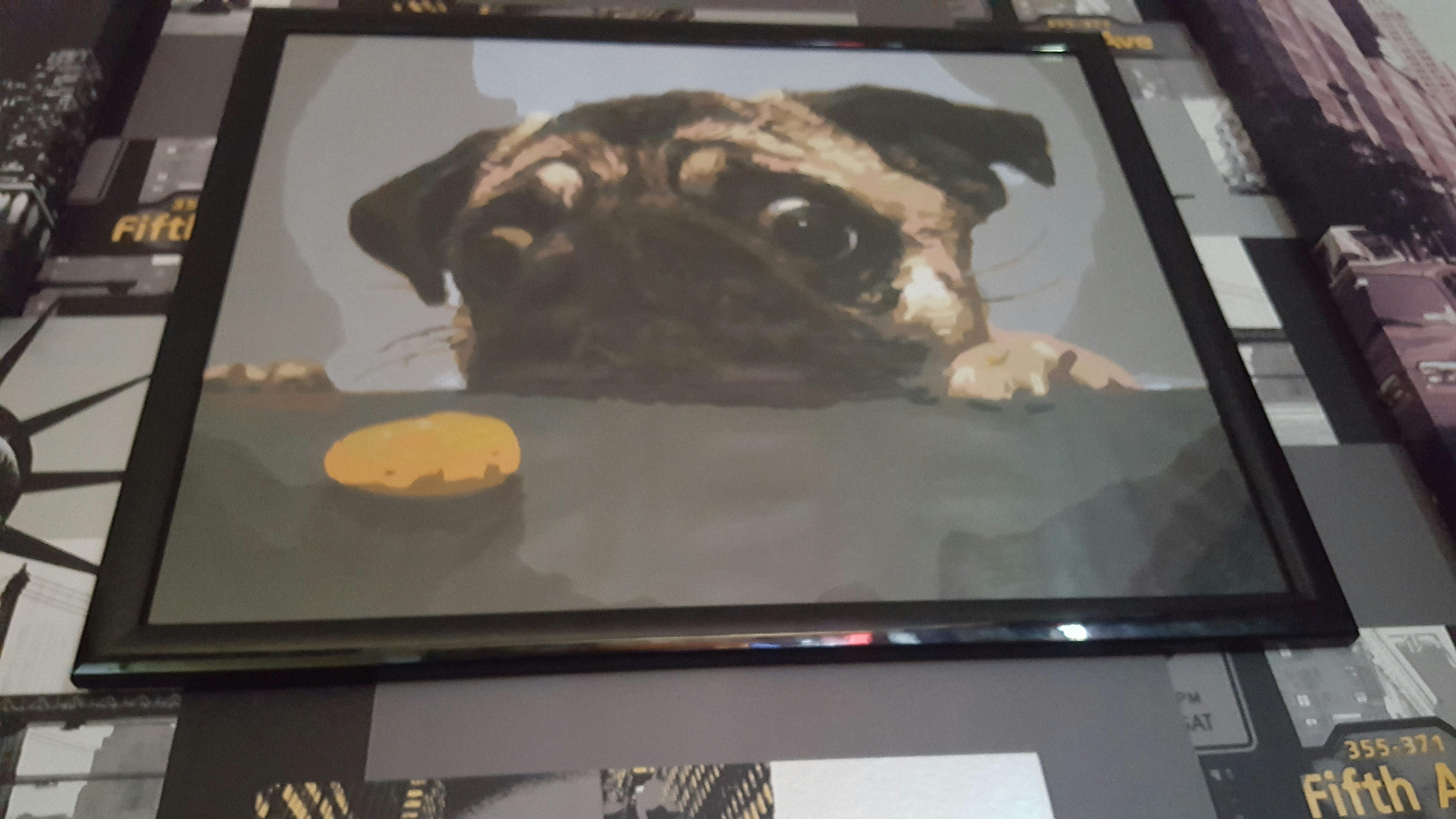 Diamond Painting - Cute Pug – Figured'Art