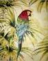 Flowers and Parrot