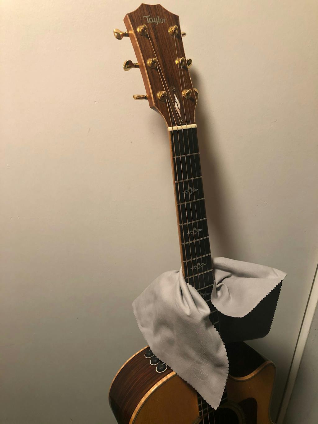 Thalia Guitar Polishing Cloth The Best Guitar Polishing Cloths