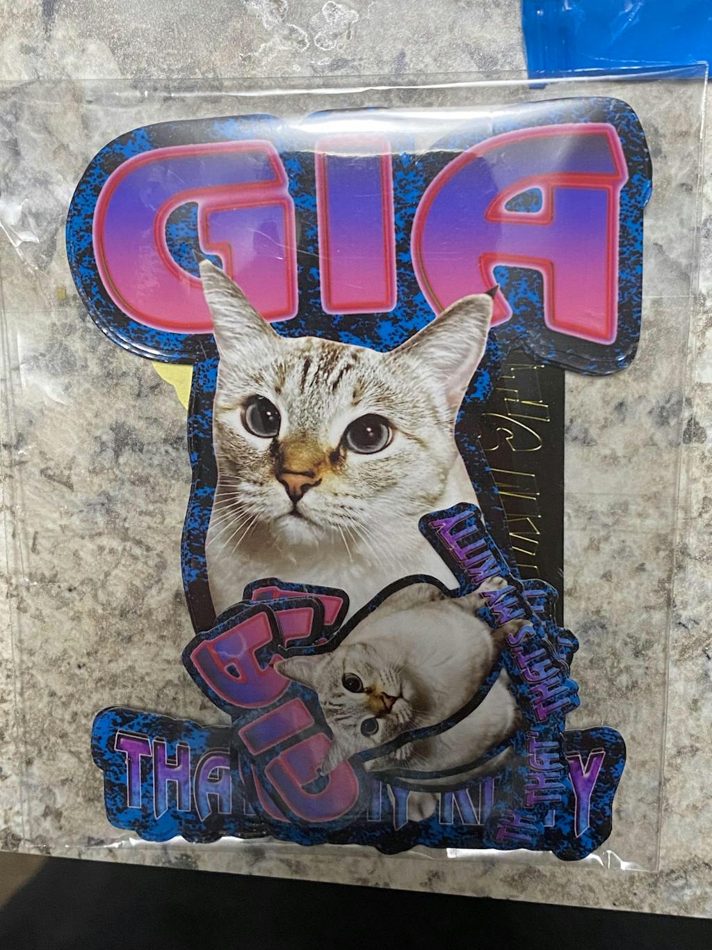Custom "90s Bootleg" Stickers – Upload Any Pet, Friend, or Other Favorite Picture