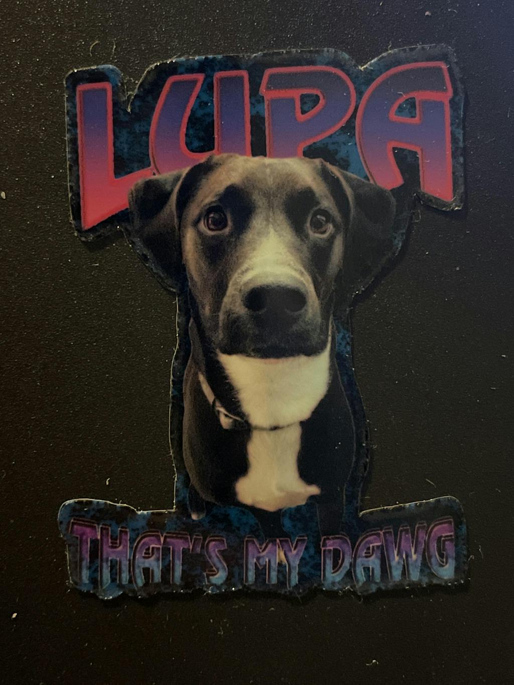 Custom "Bubble Gum" Stickers – Upload Any Pet, Friend, or Other Favorite Picture