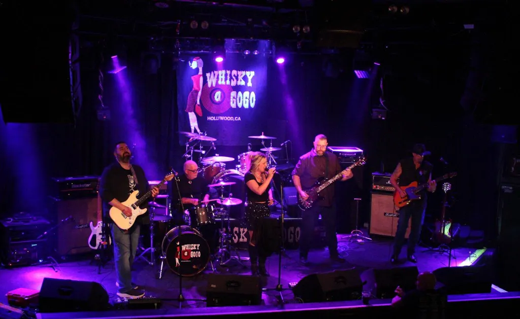 The Alley Vintage Logo Zip Up Hoodie with Printed Sleeves