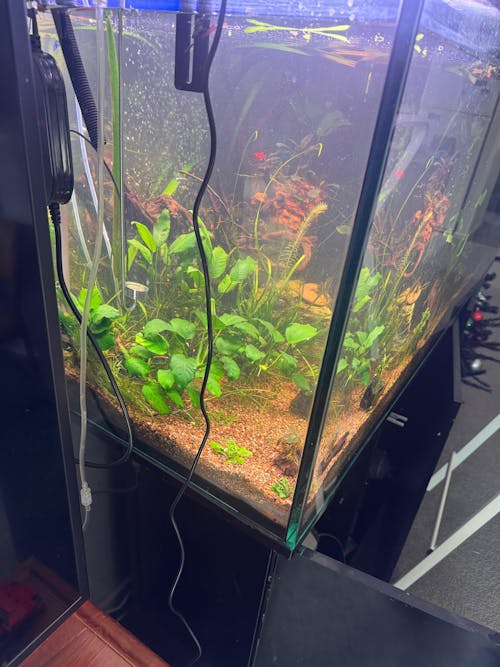 Chihiros RGB VIVID II Mini LED