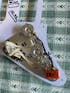 TAOT Wiring Kit - Stratocaster® - 5-way Oak Grigsby - .047 Orange Drop Cap
