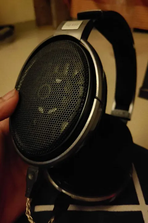 Sennheiser HD 650 Open Back Headphones