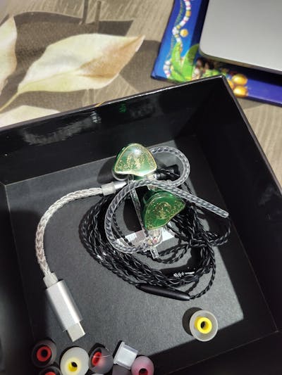 TangZu Wan'er S.G IEM With Mic