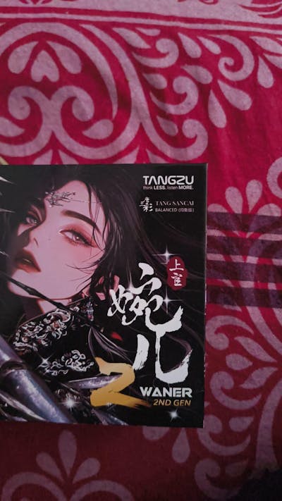 TangZu Wan'er S.G 2 IEM
