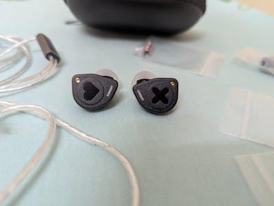 SIMGOT EW300 IEM