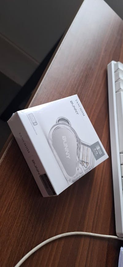 TANCHJIM Bunny Type-C DSP Plug with Mic IEM